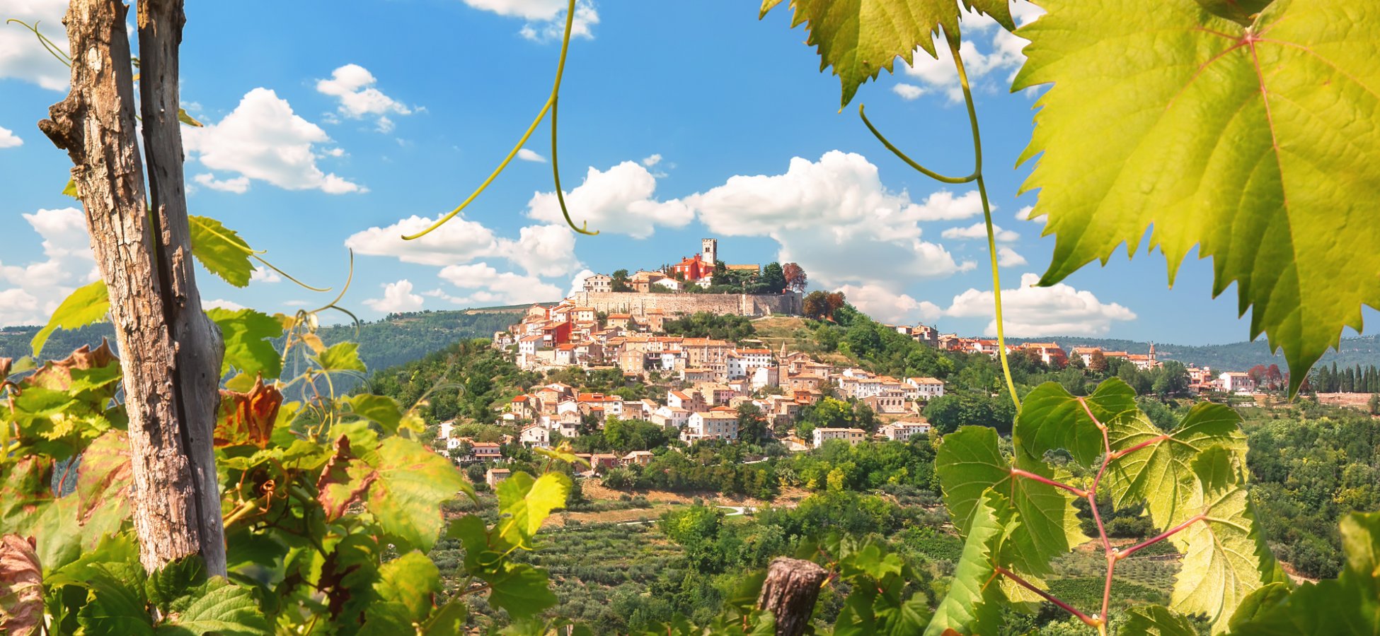 Scenic view to the town of Motovun, Istria, Croatia &copy; e_polischuk - stock.adobe.com