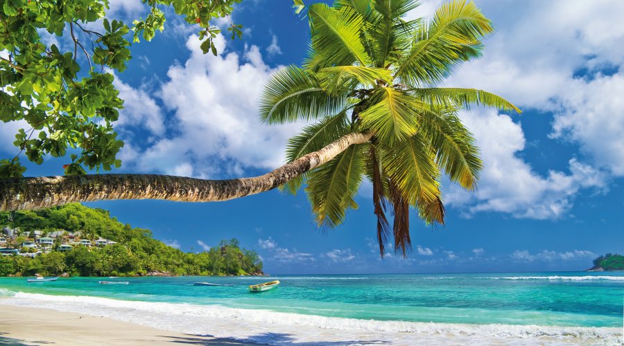 Traumstrand auf den Seychellen &copy; Freesurf-fotolia.com
